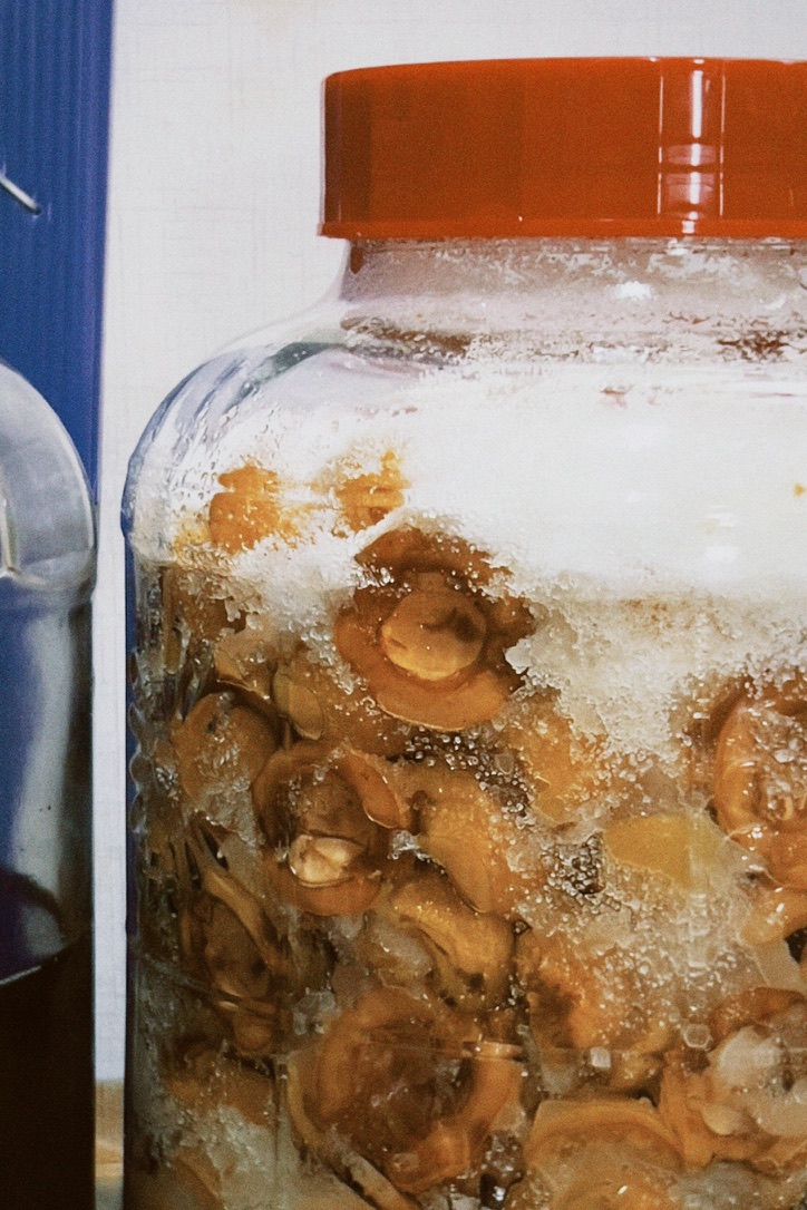 비파청 완성! 곰팡이 없이 2주후에 봐요!