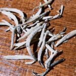 운남백차 월광백(月光白),햇살을 머금은 부드러운 차 이야기