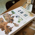 중국차 종류 총정리_육우 다경을 기준으로 보는 6대차류 이야기. 그래서? 어떤 상황에 어떤 차?