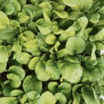 기록의 흐름을 먼저 만들기로 했습니다. – 감각을 따라 시작한 기록